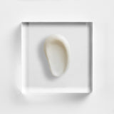 NEOVA Serious Microderm Scrub on a clear acrylic square. The top-down, square macro view shows the scrub is a dense, opaque white paste with a visible, gritty texture from the fine exfoliating crystals. It has a stiff, peaked consistency and is centered against a textured white background with clean, bright lighting.